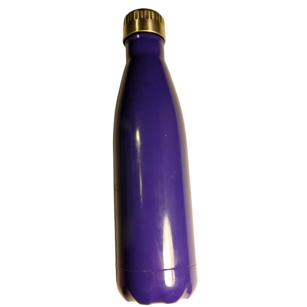 Everyday Living Purple Metal Water Bottle Tall Travel Stainless Steel 16 oz